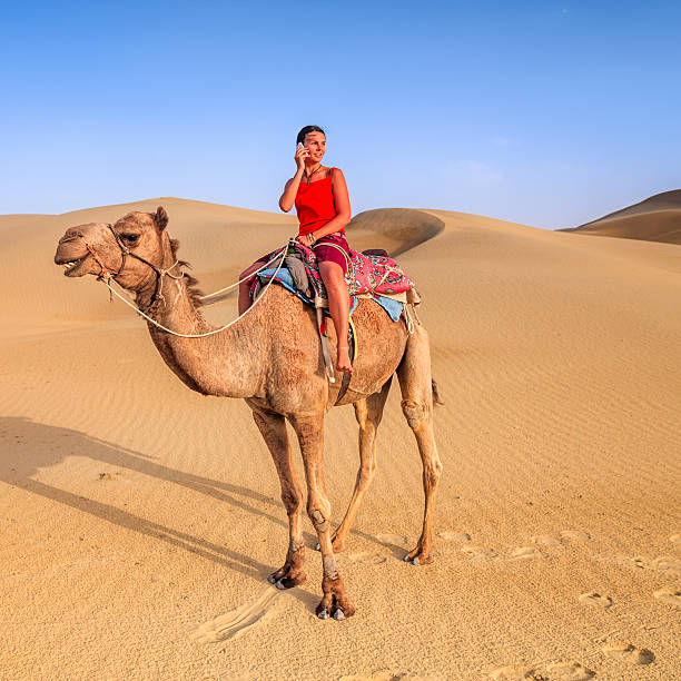 istock Young female tourist using mobile on a camel, Rajasthan, India 594036576