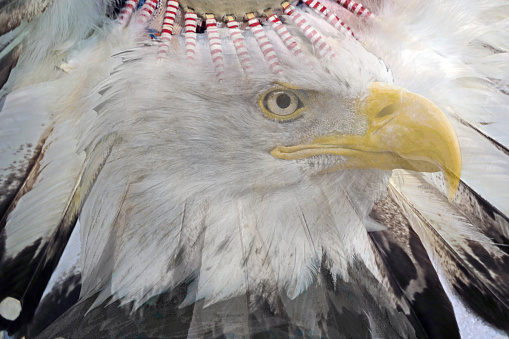 Indian Headdress, close-up of eagle feathers. The eagle's head is transparent over the feathers