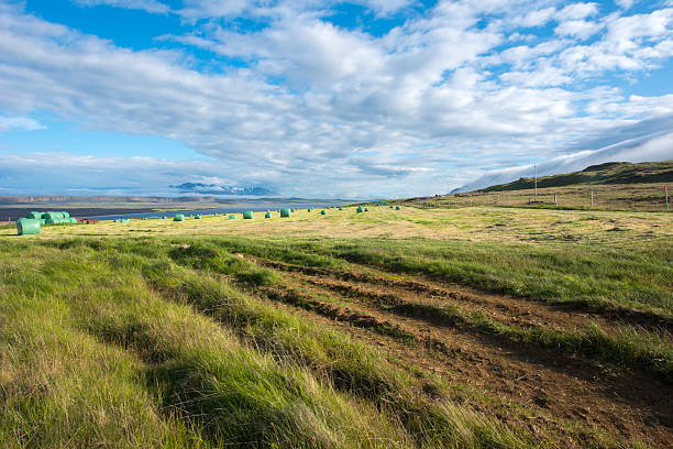 Vatnsnes peninsula, Iceland