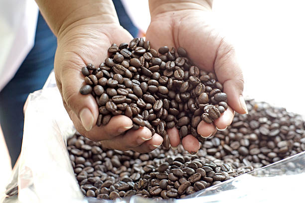 istock roasted coffee beans on female hand 594040030