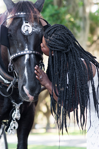 Beautiful black woman in 20-30s wearing a long white dress kisses the nose of a handsome harnessed black colored Percheron horse in the country on a summer day, Marion County, Ocala, Florida, USA