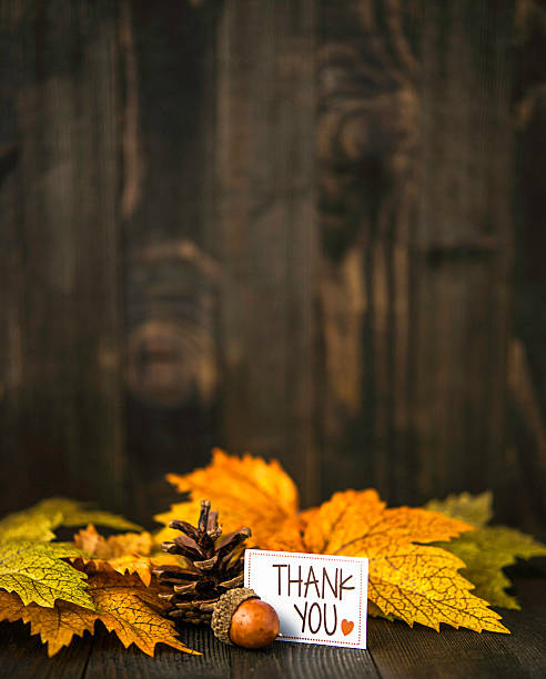 istock Fall leaves background with thank you message 594047424