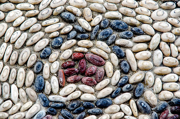 istock Background texture of the old gravel surface 594049314