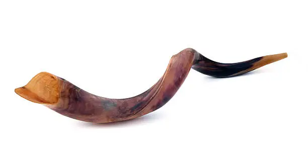 Shofar (Ram's horn) close up on a white background. It is used in the Jewish holiday of Rosh Hashana (Jewish new year) and Yom Kippur.