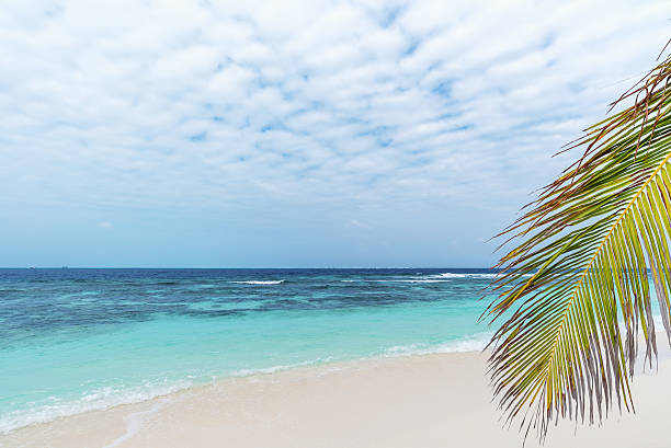 istock Palm leaves and tropical beach 594056228