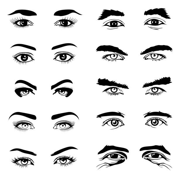 мужские и женские глаза брови векторные элементы - крупный план иллюстрации stock illustrations