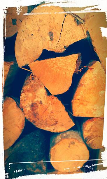istock Warm,cosy autumn ,winter,log pile 594060072