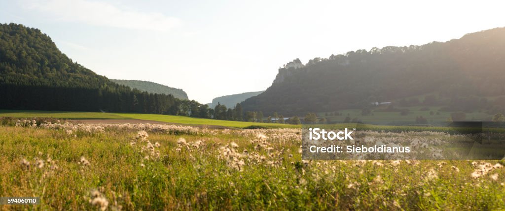 Panoramic view of Upper Danube Nature Valley in Germany. Panoramic view of Upper Danube Nature Park, Valley and Castillo in Germany in Summer. Castle Stock Photo
