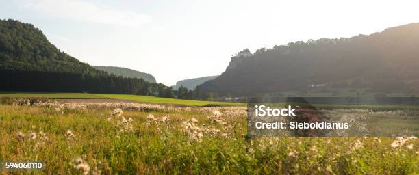 Panoramic View Of Upper Danube Nature Valley In Germany Stock Photo - Download Image Now