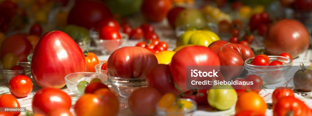 Tomatoes of different type and variety arranged on a table. Arranging Stock Photo