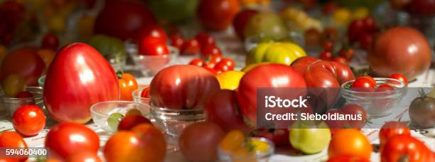 Tomatoes Of Different Type And Variety Arranged On A Table Stock Photo - Download Image Now