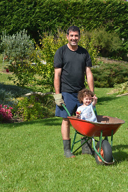 istock Man carries his daughter in a wheelbarrow 594071084