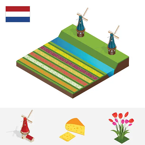 Vector illustration of Isometric Dutch windmill, colorful tulips flowers, Netherlands.