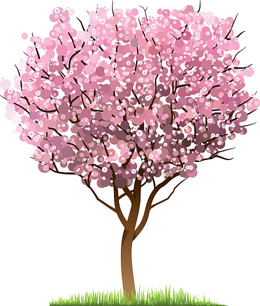 Japanese Tree Vector Art Icons And Graphics For Free Download