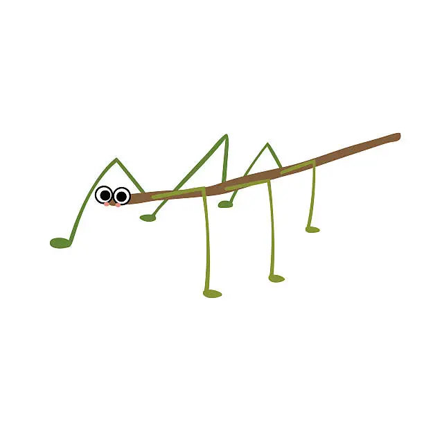 Vector illustration of Stick Insect animal cartoon character vector illustration.