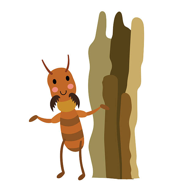 Termite animal cartoon character vector illustration. Termite animal cartoon character. Isolated on white background. Vector illustration. termite mound stock illustrations