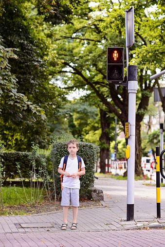 Little 7 years schoolboy waiting for green light. Dressed in white t shirt and shorts. Blue backpack