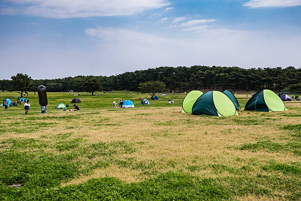 Hitachi Seaside Park Ibaraki, Japan - May 1, 2016: Tourists camping tent at Hitachi Seaside Park in Ibaraki, Japan. Hitachi Seaside Park is a spacious park in Ibaraki Prefecture, Japan featuring a variety of green spaces and seasonal flowers spread out across 350 hectares, as well as an amusement park and several cycling and walking trails. ibaraki prefecture stock pictures, royalty-free photos & images
