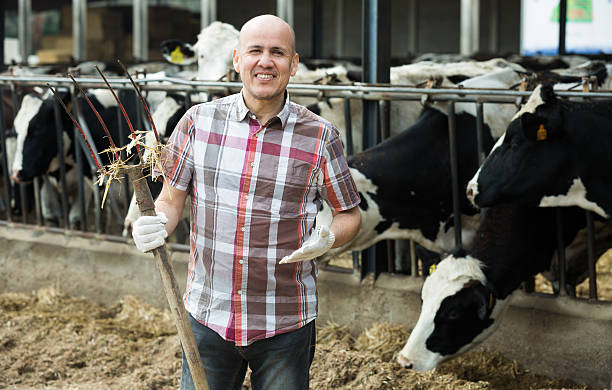 istock Mature worker with pitchfork in farmyard 594445266