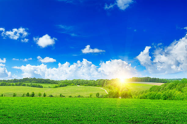 istock Beautiful sunset on green field 594448444