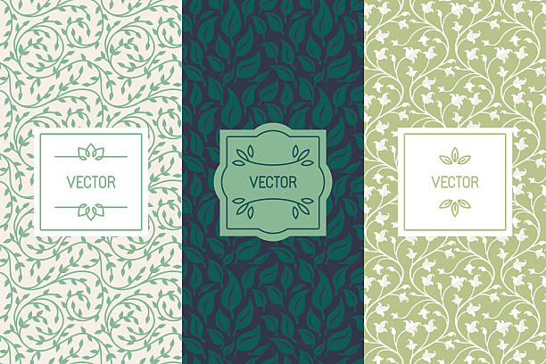 векторный набор шаблонов дизайна упаковки для косметики, красота р - tea organic single flower flower stock illustrations