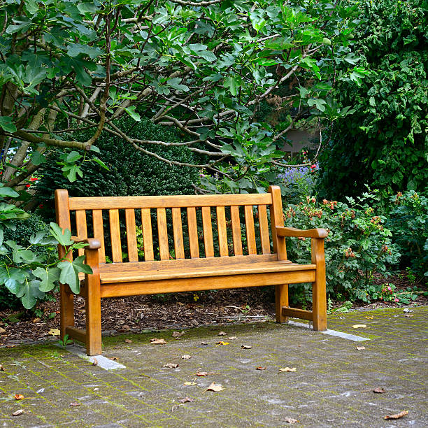 istock Wooden bench in beautiful park 594448628
