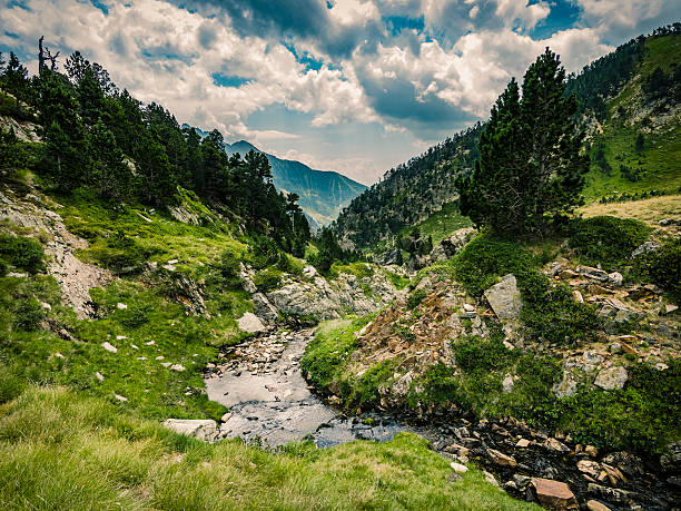 Mountain river in the Pyrenees Catalonia Spain