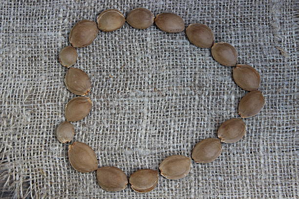 istock Heart laid out from apricot seeds 594456978