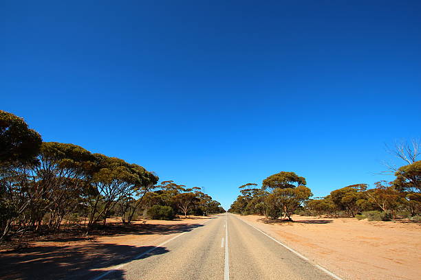 istock Straight road through Australian outback 594457638