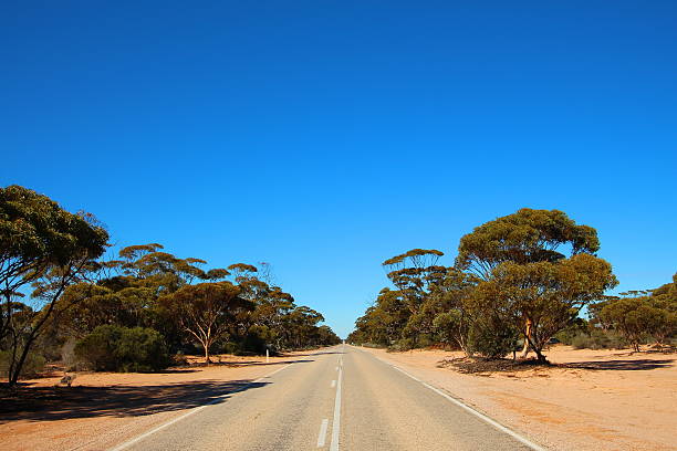 istock Straight road through Australian outback 594458518