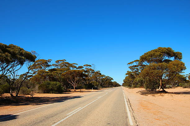 istock Straight road through Australian outback 594458834