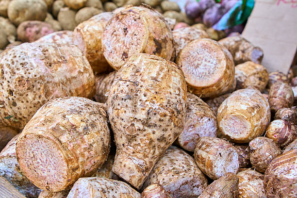 istock Taro 