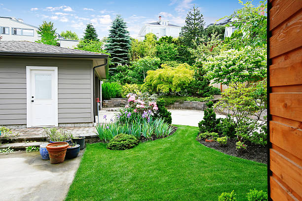 istock Nice back yard landscape desing with well kept lawn. 594465172