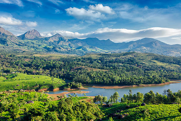 istock Tea plantations and river in hills. Kerala, India 594466152