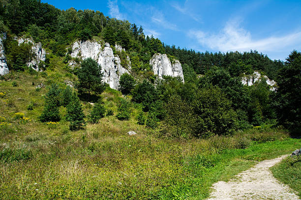 istock Kobylanska Valley in Poland 594466324