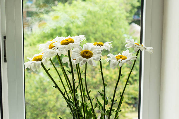 istock Bouquet of chamomiles flowers 594466868
