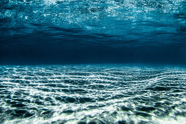 istock Underwater Clarity 594472752
