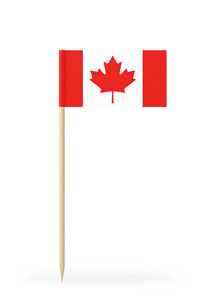 istock Small Flag of Canada on a Toothpick 594474812