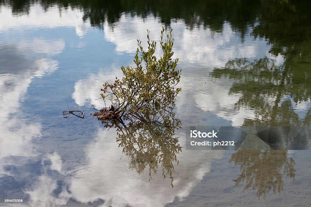 Lake with Reflections - Silkeborg, Denmark Lake with Reflections - Silkeborg, Denmark. Space for text. Cloud - Sky Stock Photo