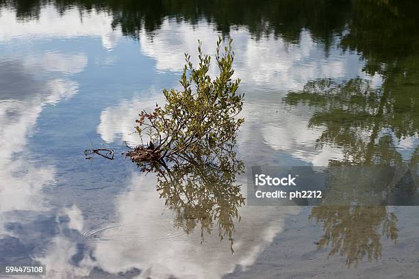 Lake With Reflections Silkeborg Denmark Stock Photo - Download Image Now - Cloud - Sky, Cloudscape, Copy Space