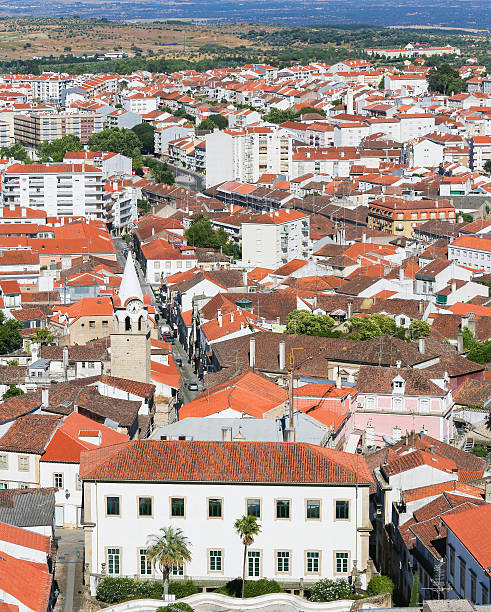 istock Castelo Branco, Centro region, Portugal 594478850