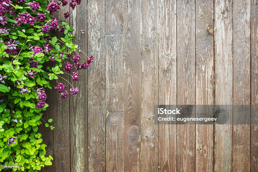 Holzwand mit dekorativen Blumen - Lizenzfrei Zaun Stock-Foto