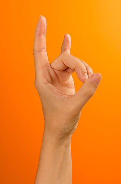 istock APANA VAYU - Mudra of heart 594479666