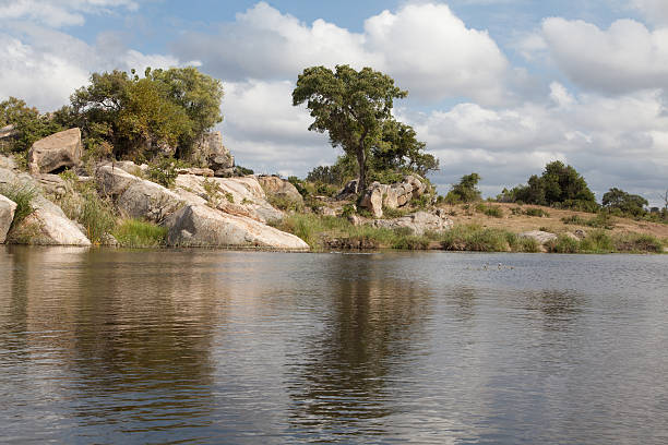 Lake in the bush in the Kruger National Park, South Africa