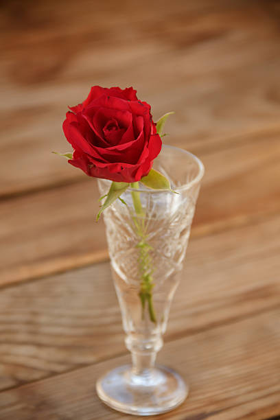 red flower in a glass