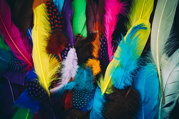 istock Close-up of various colored feathers 594485660