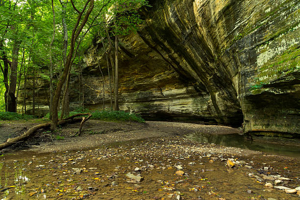 istock Summer morning in the canyon. 594487124
