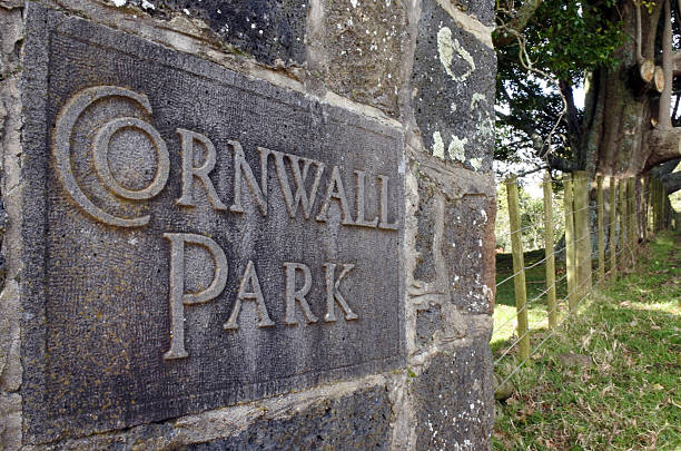 istock Cornwall Park in Auckland New Zealand 594907898