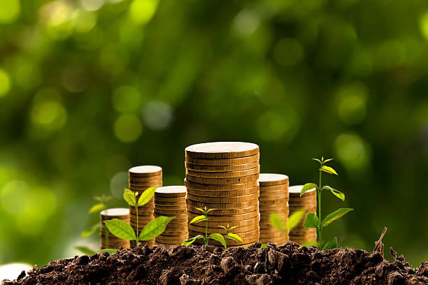 istock Money growing in soil. 594909970