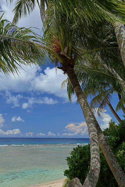 istock beautiful beach of Guam island 594910514